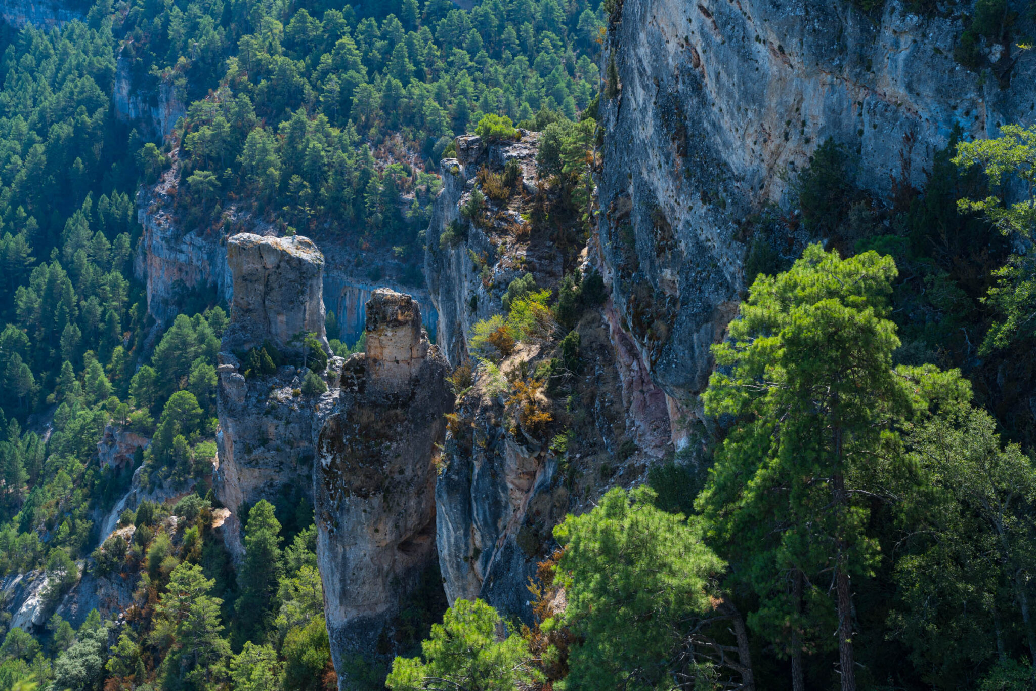 Rewilding the Internet