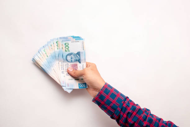 Gestión presupuestaria?>